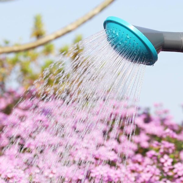 Watering Can - Image 2