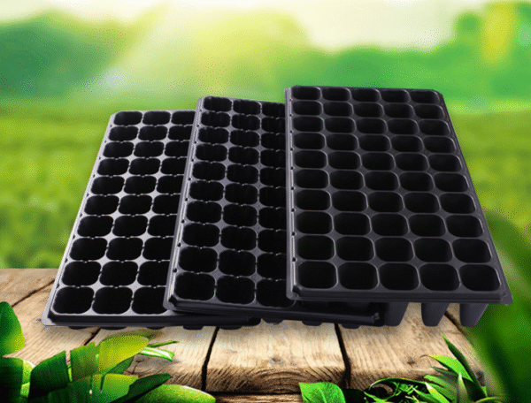 50-holes Deep Well Sowing Tray